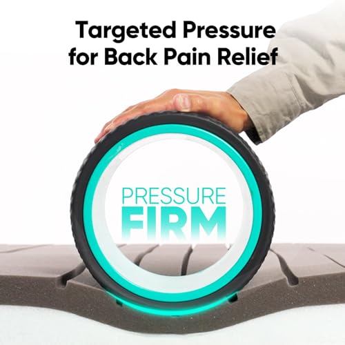 FitBeast Back Roller - Back Wheel for Deep Tissue Massage,Back Roller Wheel for Back Pain Relief, Yoga Wheel, Back Stretcher & Foam Roller for Back Stretching, Back Cracking Device (9'', Blue)