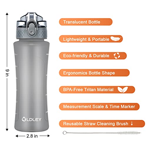 OLDLEY Kids Water Bottle with Straw 15 oz BPA-Free Leak-Proof Motivational Water Bottles with Time Marker for School Sports Travel Gym, Easy to Use for Girls Goys, 1 Straw Lid, Grey