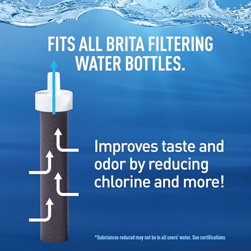 Brita Stainless Steel Premium Filtering Water Bottle, BPA-Free, Reusable, Insulated, Replaces 300 Plastic Water Bottles, Filter Lasts 2 Months or 40 Gallons, Includes 1 Filter, Rose - 20 oz.