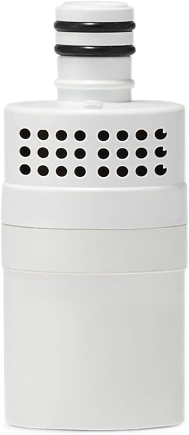 Filter Bottle Classic 27oz Polar Bear Stainless Steel Camping Hiking Backpacking Outdoor Emergency