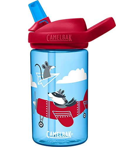 CamelBak eddy+ 14oz Kids Water Bottle with Tritan Renew – Straw Top, Leak-Proof When Closed, Spring Fairies