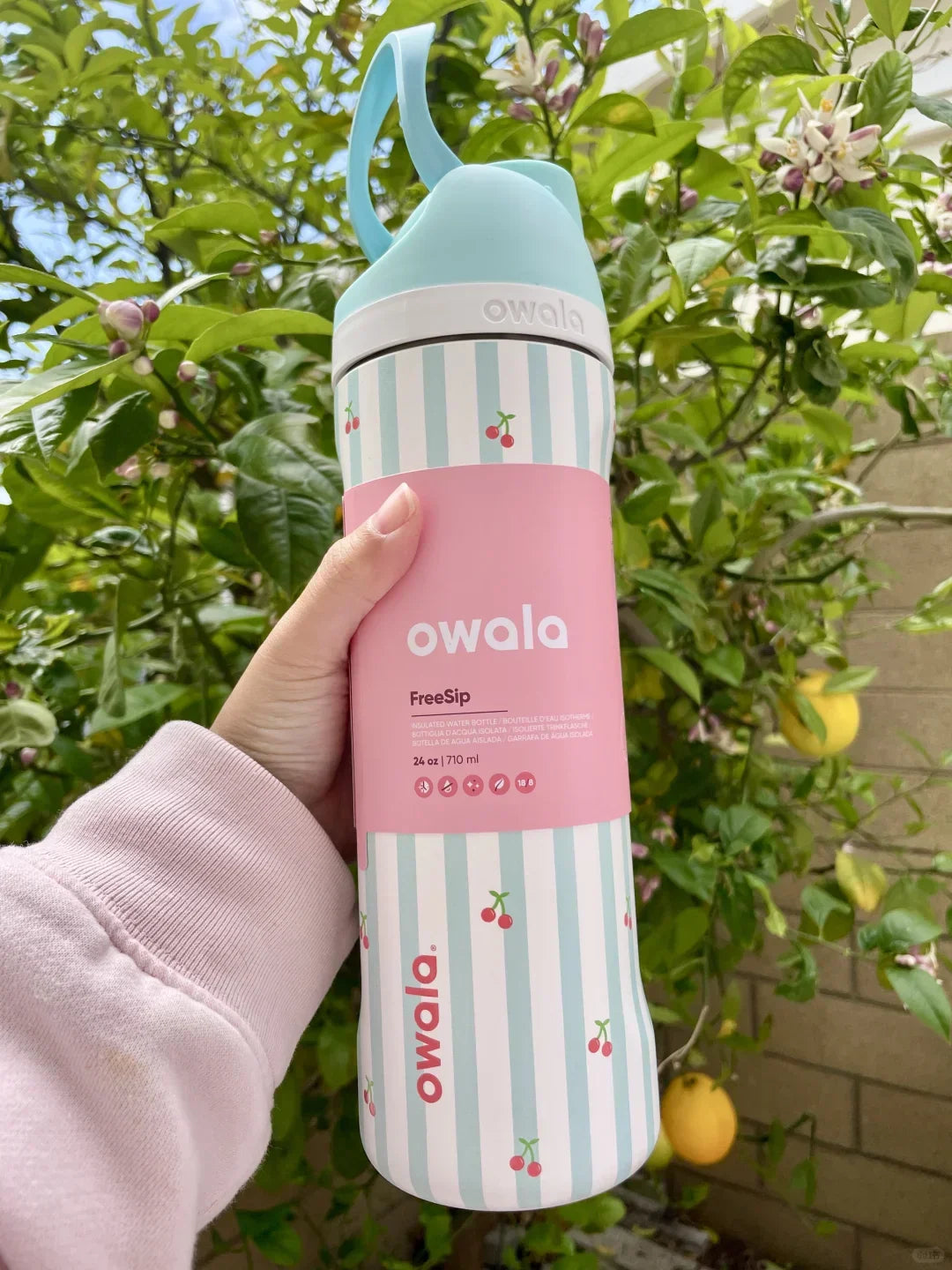Owala Freesip Water Bottle 24Oz/32Oz